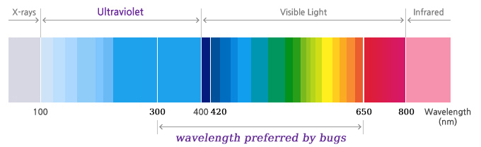 The level of attraction for each type of bug, including moths, beetles, mosquitoes, flies, and mayflies, is represented for these spectrum ranges.